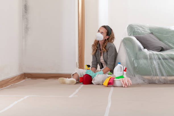 Reliable Mold Remediation contractor in Riverton, IL by Cheap Mold Removal